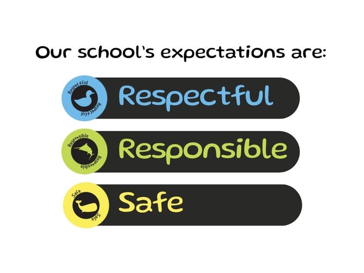 Graphic with wording: Our school's expectations are: Respectful, Responsible and Safe.