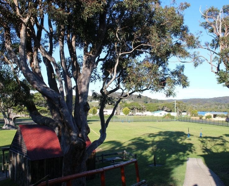 Photograph looking down onto our bottom playground featuring the sports shed.