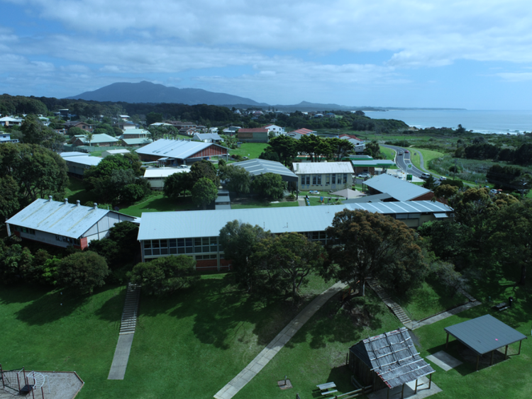 Drone photo of Bermagui Public School with Gulaga Mountain in the background.